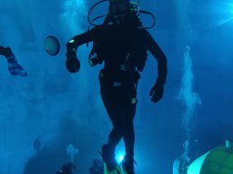 20230303 Nemo 33